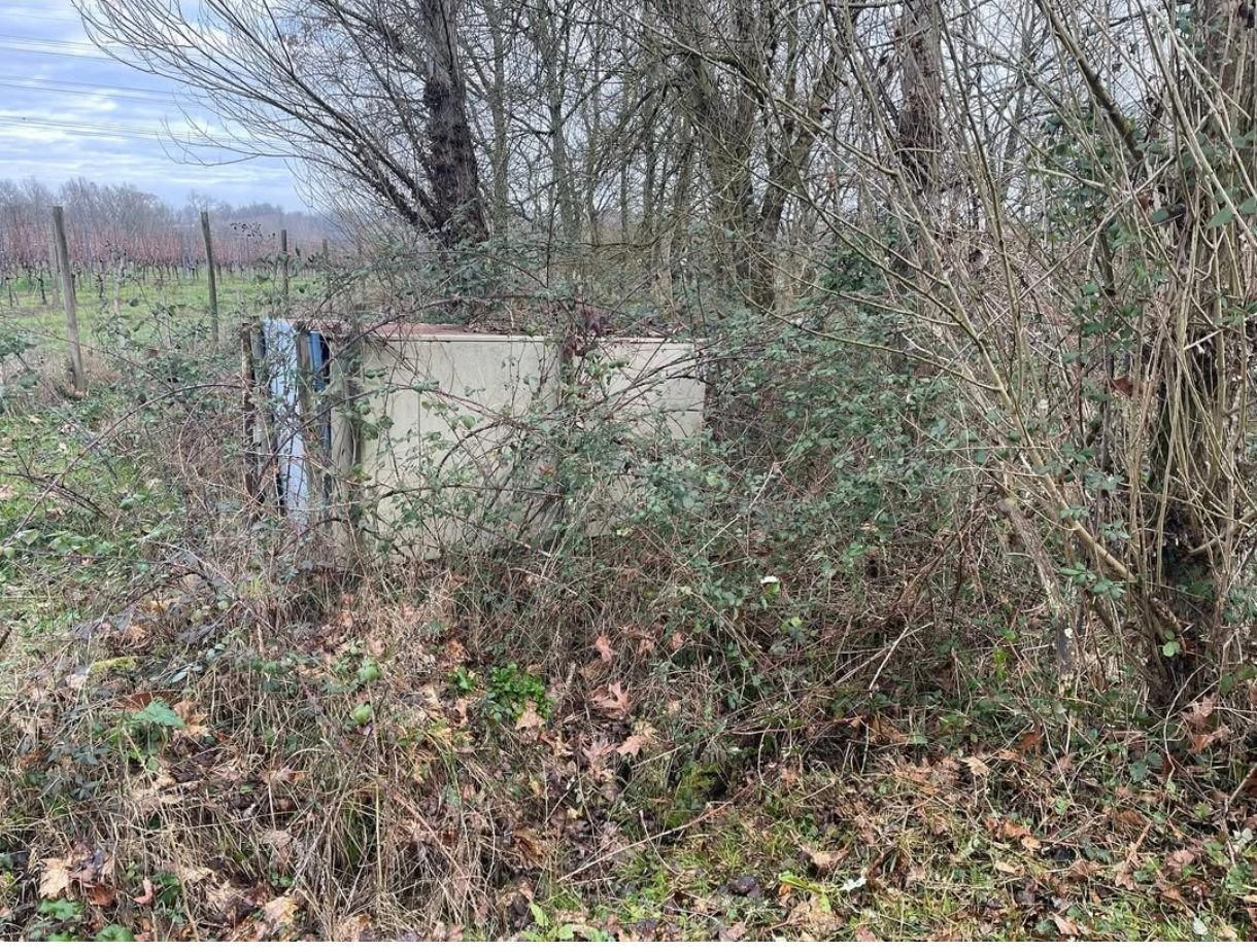 Parcelle en désordre avec broussailles et débris avant nettoyage.